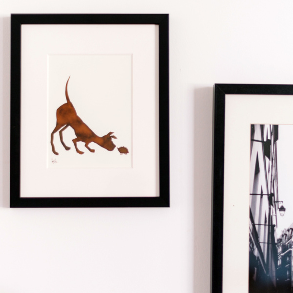 Универсальный нейлоновый дюбель для любых стен Multi Универсальный нейлоновый дюбель для любых стен Multi